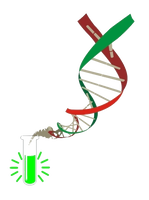 Logo do Grupo de pesquisa de Bioluminescência e Biofotônica