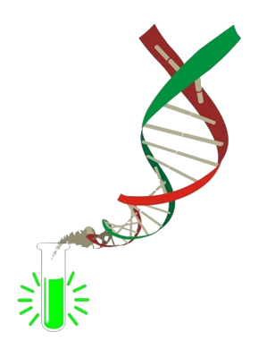 Logo do grupo de pesquisa Bioluminescência e Biofotônica